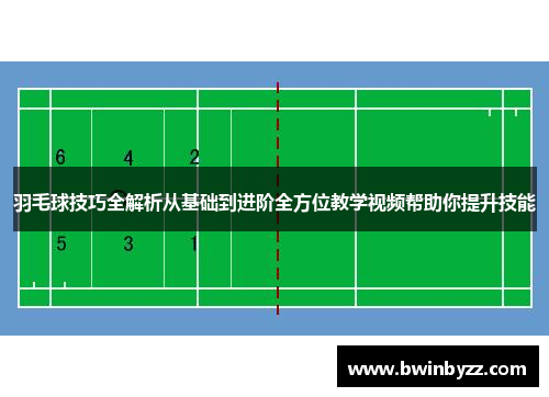 羽毛球技巧全解析从基础到进阶全方位教学视频帮助你提升技能